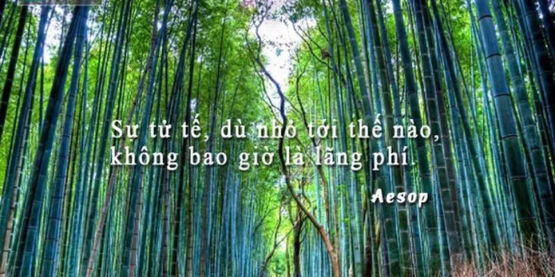 Sống tử tế