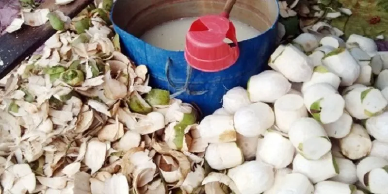 bom-hoa-chat-vao-dua