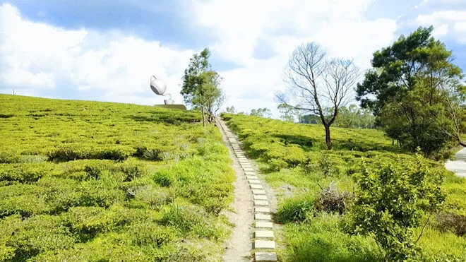 doi-che-cau-dat-farm